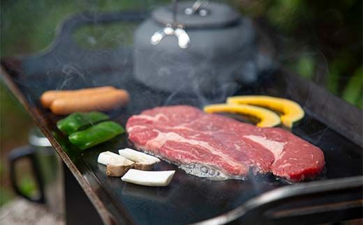 厚板鉄板II型 F4N-2346