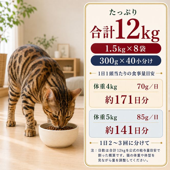 ビューティープロ キャット 成猫用 1歳から 1.5kg ｘ8(ケース単位) キャットフード