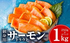 kgp0048-2 お刺身用 サーモン トラウト 1kg【小分け 約250g×4P ポーション ブロック 柵 訳あり サイズ不揃い さーもん 数量限定】