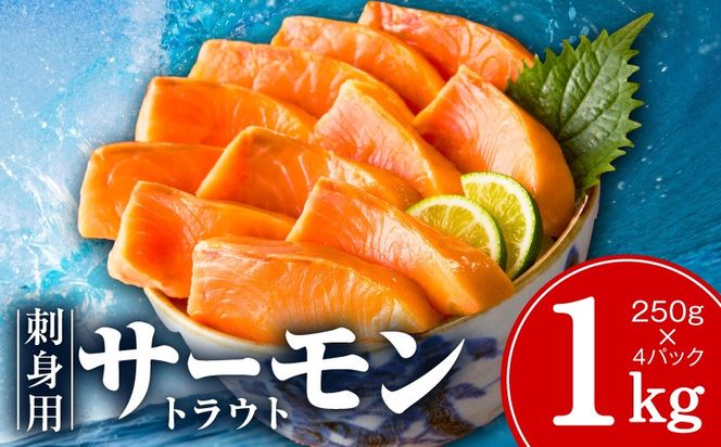 kgp0048-2 お刺身用 サーモン トラウト 1kg【小分け 約250g×4P ポーション ブロック 柵 訳あり サイズ不揃い さーもん 数量限定】