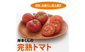 岸本くんの完熟トマト 大玉 4kg 発送期間：2025年12月10日～2026年4月30日