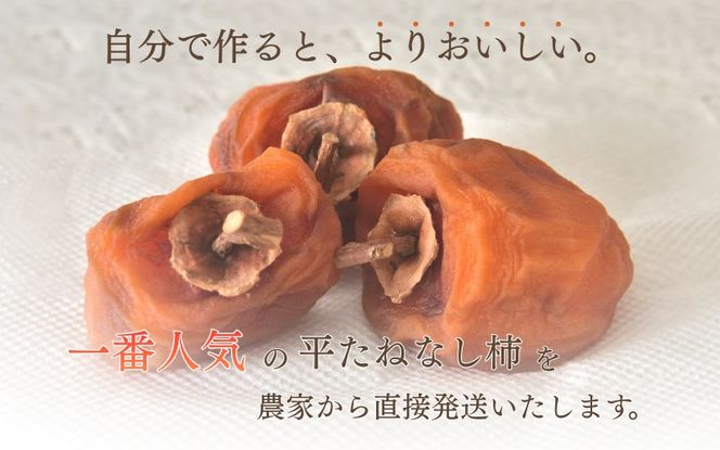 甘さが違う！とっても甘くなる生渋柿（平たねなし柿）吊るし柿用  T字枝or吊るしクリップ付約14.5～15kg　約60～90個＜2026年10月中旬～11月上旬ごろ順次発送＞Ted【art015B】
