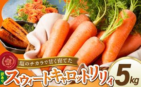 〈予約受付〉メディア出演多数！【期間限定】（訳あり）鈴盛農園の甘～いにんじん 『スウィートキャロットリリィ』 5kg H022-019