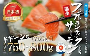 1B48フジアトランティックサーモン（３パック）