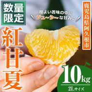 ＜先行予約受付中！2026年3月中旬以降順次発送予定＞数量限定！鹿児島県産 紅甘夏 (10kg・2L) 柑橘 フルーツ 果物 国産 みかん 期間限定 数量限定 ベニアマナツ ミカン 旬 【株式会社イロドリ】akn069-10