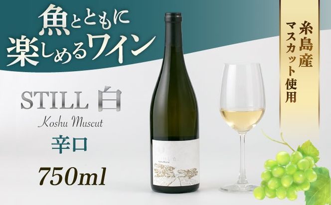 【糸島マスエワイナリ】STILL 白 Koshu Muscut 1本 糸島市 / いとしのいとしま[AEP001] 白ワイン 国産 ワイン 辛口 白 マスカット 甲州 魚介 糸島 ワイナリー