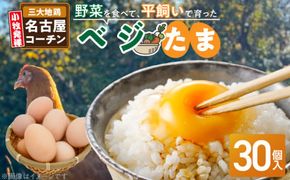 【医師監修】野菜を食べて育った平飼いの卵「名古屋コーチン ベジたま」（30個入り）［154T01］