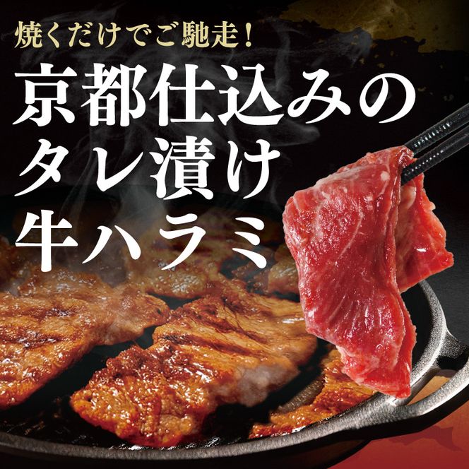 【訳あり】 タレ漬け 牛ハラミ 600g 2P 肉 牛 牛肉 ハラミ 味付け タレ ハラミ肉 BBQ バーベキュー 焼き肉 焼肉 焼肉セット アウトドア キャンプ ギフト 真空 パック 小分け 300g 個包装 簡単 便利 冷凍 人気 京都 南丹市 神戸 ミートフーズ