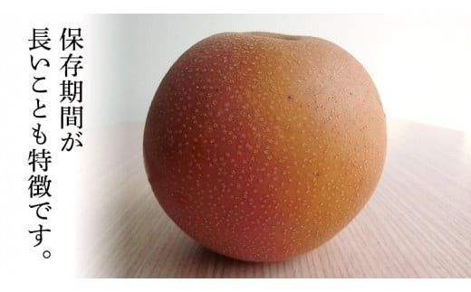 【 産地直送 】 にっこり梨 5kg 先行予約 梨 なし ナシ [CZ003ci]