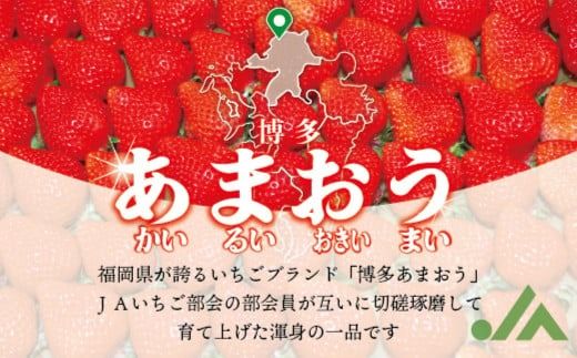 博多あまおう（冬） 約250g～270g×4パック 計約1kg～1.08kg【2025年12月上旬-2026年1月下旬発送予定】 いちご 苺 イチゴ 果物 フルーツ