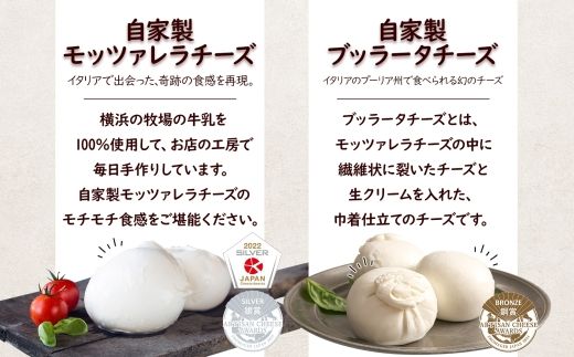 【ふるさと納税】12ヶ月定期便 フレッシュチーズ 2種 オリーブオイル セット モッツァレラ 100g 2個 ブッラータ 160g 1個 オリーブオイル 100ml チーズ おつまみ 送料無料 神奈川県 茅ヶ崎市