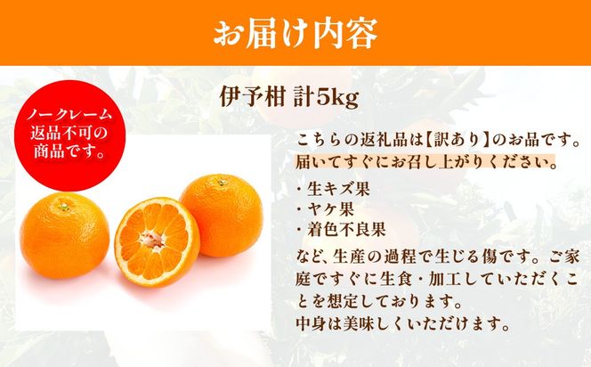 【先行予約】【訳あり】伊予柑計5kg ※離島への配送不可（2027年2月上旬頃より順次発送予定 ）IKTAC034