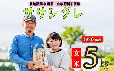 令和６年産 【栽培期間中 農薬・化学肥料不使用】ササシグレ(玄米)5kg真空包装(6-52A)