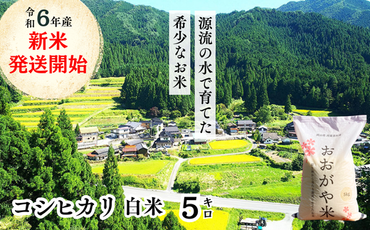 白米 5kg 令和6年産 コシヒカリ 岡山 「おおがや米」生産組合 G-af-ADCA