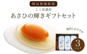 卵 あさひの輝き ギフトセット 30個（10個×3パック） 岡山県真庭市産 産地直送 【配送不可地域：北海道／沖縄県／離島】 tamago001 【jujy018-01】
