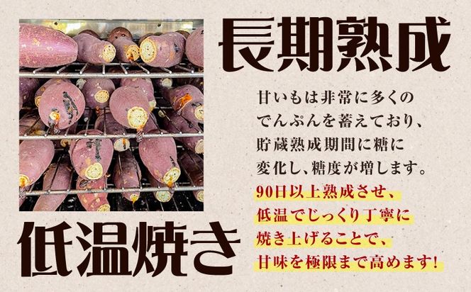 ＜選べる＞焼き芋職人が作った干し芋 160g（1袋 ～ 10袋）　K181-018_SKU