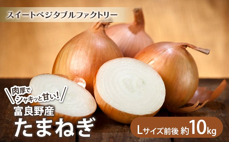 [2026年秋冬発送]北海道富良野産 たまねぎ 約10kg (Lサイズ前後) 野菜 玉ねぎ