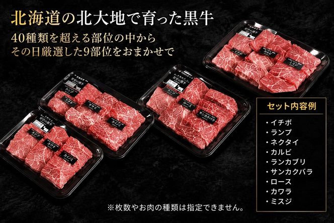 焼肉 北海道産 星空の黒牛 厳選9種 食べ比べ 約630g 牛肉 【 肉 にく ニク 牛肉 牛肉赤身 赤身 牛肉セット バーベキュー 冷凍牛肉 贅沢牛肉 国産牛肉 北海道産牛肉 道産牛肉 簡単 お手軽 特製牛肉 標茶町 北海道 】 016641_AD005