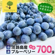【淡路島産】大粒ブルーベリー 700g 冷凍生果《栽培期間中、無農薬栽培》　ブルーベリー