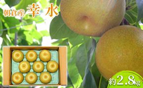 梨 幸水 2.8kg 2026年 発送 なし フルーツ 果物 くだもの デザート 筑前あさくら農協 配送不可 離島