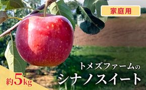 シナノスイート（家庭用） 約5kg（15～20玉入り）トメズファーム　りんご　長野　信州　小諸　果物　フルーツ