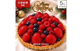 クリスマスケーキ　トリプル ベリー タルト 5号 4-6人分　パティスリー天使のおくりもの ※2026年12月～発送
