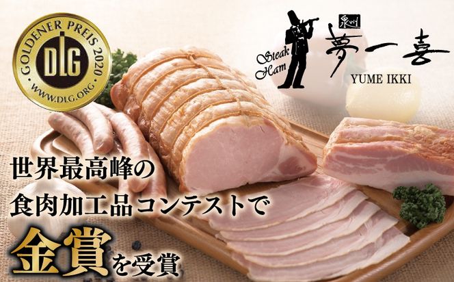G4101 熟成ロースハムステーキ 1kg（250g×4P）【小分け 夢一喜フーズ 訳あり サイズ不揃い はむ ハム ロース 切り落とし 総菜 hamu】