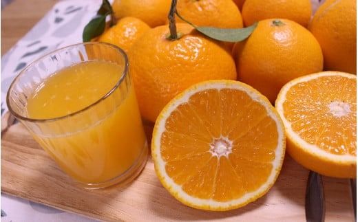 ＼ みかんの名産地 和歌山県産／ 農家直送 完熟清見オレンジ 5kg (M～２Lサイズおまかせ) ひとつひとつ手選別で厳選【2026年3月中旬～4月下旬ごろに順次発送予定】【hdm003A】