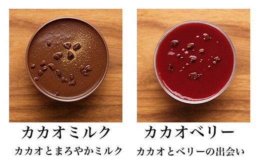 乳酸菌スイーツアソート10個入 　パティスリー天使のおくりもの　※離島への配送不可