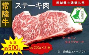 169-26-041　【常陸牛】ステーキ用肉 約500g（茨城県共通返礼品）【常陸牛　茨城県産　日立市】