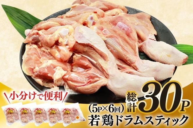 鶏肉 定期便 骨付き もも肉 ドラムスティック 1本入 5p 6回 総計30p [ミヤケイフード 宮崎県 美郷町 31bp0007] ドラム もも モモ 鶏モモ 鶏もも