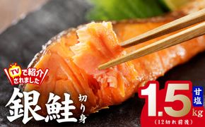 kgp0007 銀鮭 切り身 1.5kg お試し 12切れ前後【TVで紹介 訳あり サイズ不揃い 海鮮 魚介 鮭 さけ しゃけ お弁当 簡単調理】