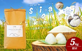 【 小豆島 】小豆島 滝宮で獲れたふっくらつやつや 小豆島産 コシヒカリ 5kg こしひかり お米 米 白米 精米 もっちり 甘み 香川 香川県 土庄 土庄町