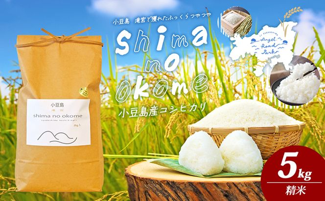 【 小豆島 】小豆島 滝宮で獲れたふっくらつやつや 小豆島産 コシヒカリ 5kg こしひかり お米 米 白米 精米 もっちり 甘み 香川 香川県 土庄 土庄町