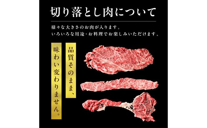京都産和牛　切り落とし　約500ｇ　【京都モリタ屋専用牧場】 牛肉　MO00001