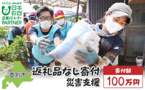 日本財団災害復興支援特別基金への寄附【災害支援】（返礼品なし）【MRI-AiD】【寄付額：100万円】