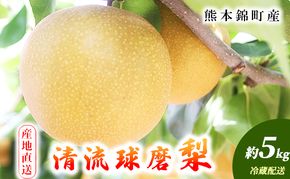 梨 旬 5kg 先行予約 2026年発送 平野果樹園 錦の梨 なし フルーツ 果物 デザート 配送不可:離島 