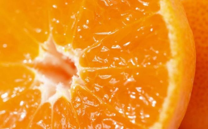 yQɕzJAɂ ݂鋤I uv8kgi2S`2Lj4kg×2ւ̔zsi2025N11{菇\j IKTBC013