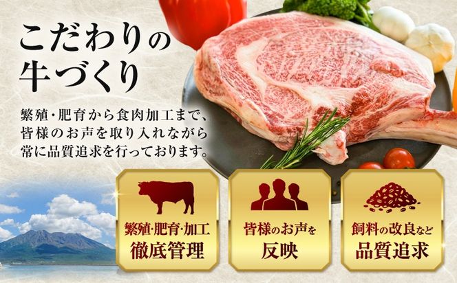 北さつま牛 トマホーク　K137-008