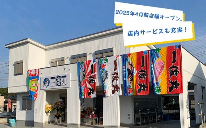 【茅ヶ崎・釣り船 一俊丸】 乗船2000円券×25枚=券50,000円分 相模湾 船釣り アマダイ、キハダ、カツオ、カワハギ、ヒラメ