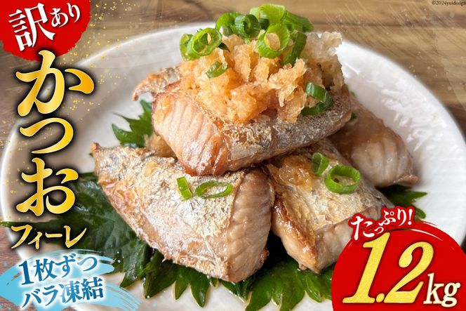 訳あり かつお ハラス フィーレ 1.2kg [足利本店 宮城県 気仙沼市 20564913] 魚 カツオ 鰹 鰹ハラス さかな サカナ はらす はらみ ハラモ はらも おつまみ 惣菜 おかず 訳アリ わけあり 冷凍