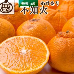 ［先行予約］家庭用 不知火7.5kg+250g（傷み補償分）［デコポンと同品種・人気の春みかん］［わけあり・訳あり］ CZ146