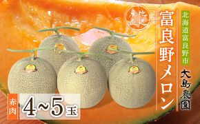 【2026年7月中旬～発送】ふらのメロン 赤肉 4～5玉 計8kg以上 北海道 富良野市 (大島農園)