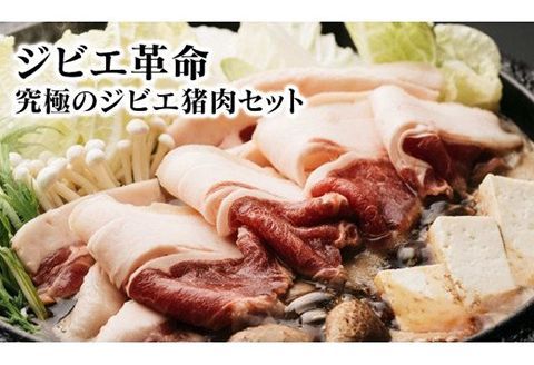 y{茧szWrGv?ɂ̃WrGZbg` N028-YZA508