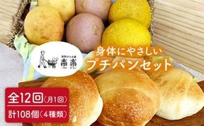 【 全12回 定期便 】身体がよろこぶ プチ パン セット ( 卵 / 乳製品 不使用 )《糸島》【天然パン工房楽楽】【いとしまごころ】[AVC011] パン 国産 詰め合わせ セット 卵 乳製品 不使用 冷凍 特別栽培