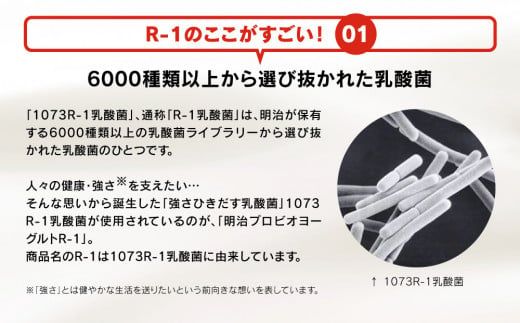 【定期便12回】明治 プロビオヨーグルト R-1 ドリンクタイプ 112g×24本×12回 ヨーグルトドリンク◇