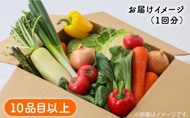 【6回定期便】地元の農家さんが収穫した旬のお野菜 詰め合わせセット 地元の農家さんが収穫した旬のお野菜 詰め合わせセット 野菜定期便 野菜詰め合わせ / 南島原市 / ミナサポ [SCW046]