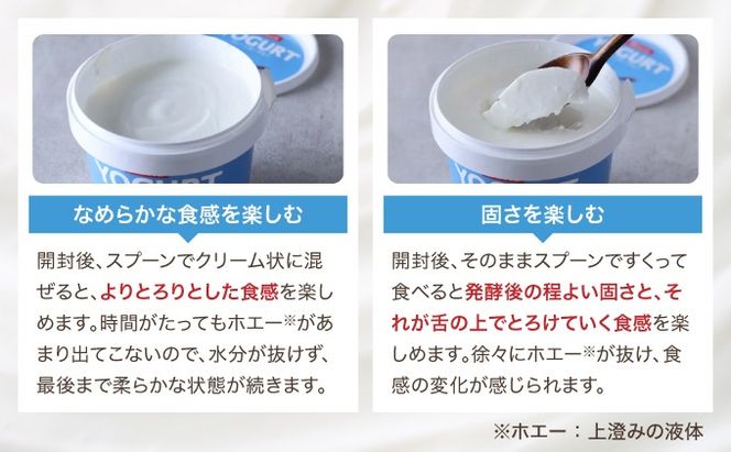 北海道 牧家 Bocca ヨーグルト 500g 6個 計3.0kg 生乳 ミルク 練乳 濃厚 デザート スイーツ おやつ 乳製品 冷蔵 