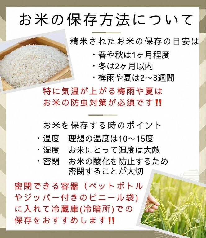【12月末まで】【毎月1回お届け】【定期便】令和7年産 新米 京都丹波米 こしひかり10kg×12回 計120kg 米 12ヶ月 白米 12回定期便 ※精米したてをお届け コシヒカリ ※北海道・沖縄・離島への配送不可