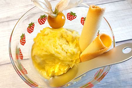 ネクスファームのゴールデンベリープレミアムアイス　6個入りセット 【1939】